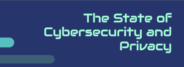 The State of Cybersecurity and Privacy – Preparing for the New Digital Frontier